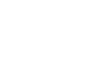 CDs