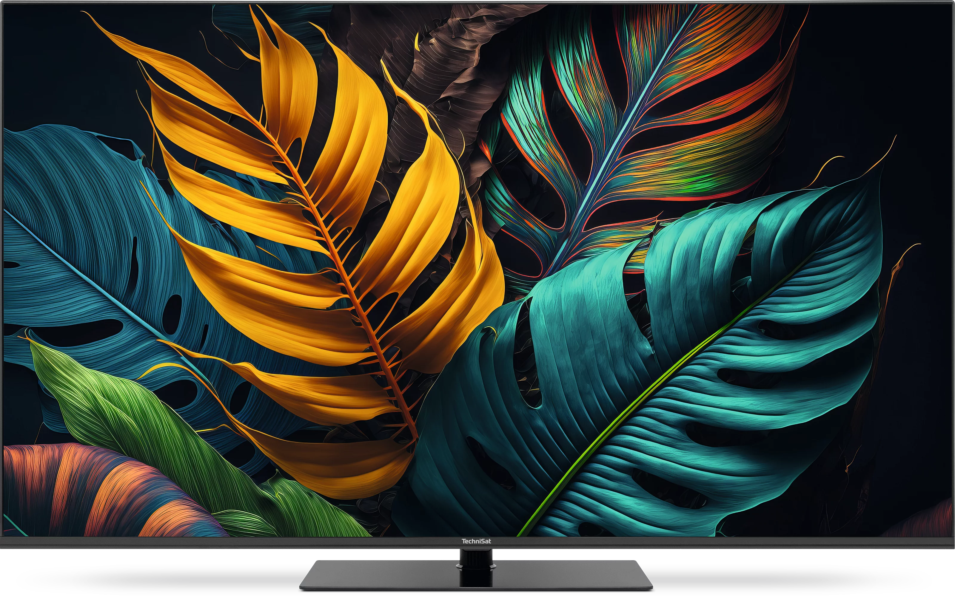 TECHNIVISION UHD65A Szene, Frontal, Front